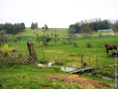 paysage bucolique