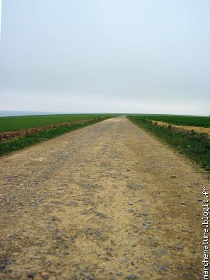 le chemin...